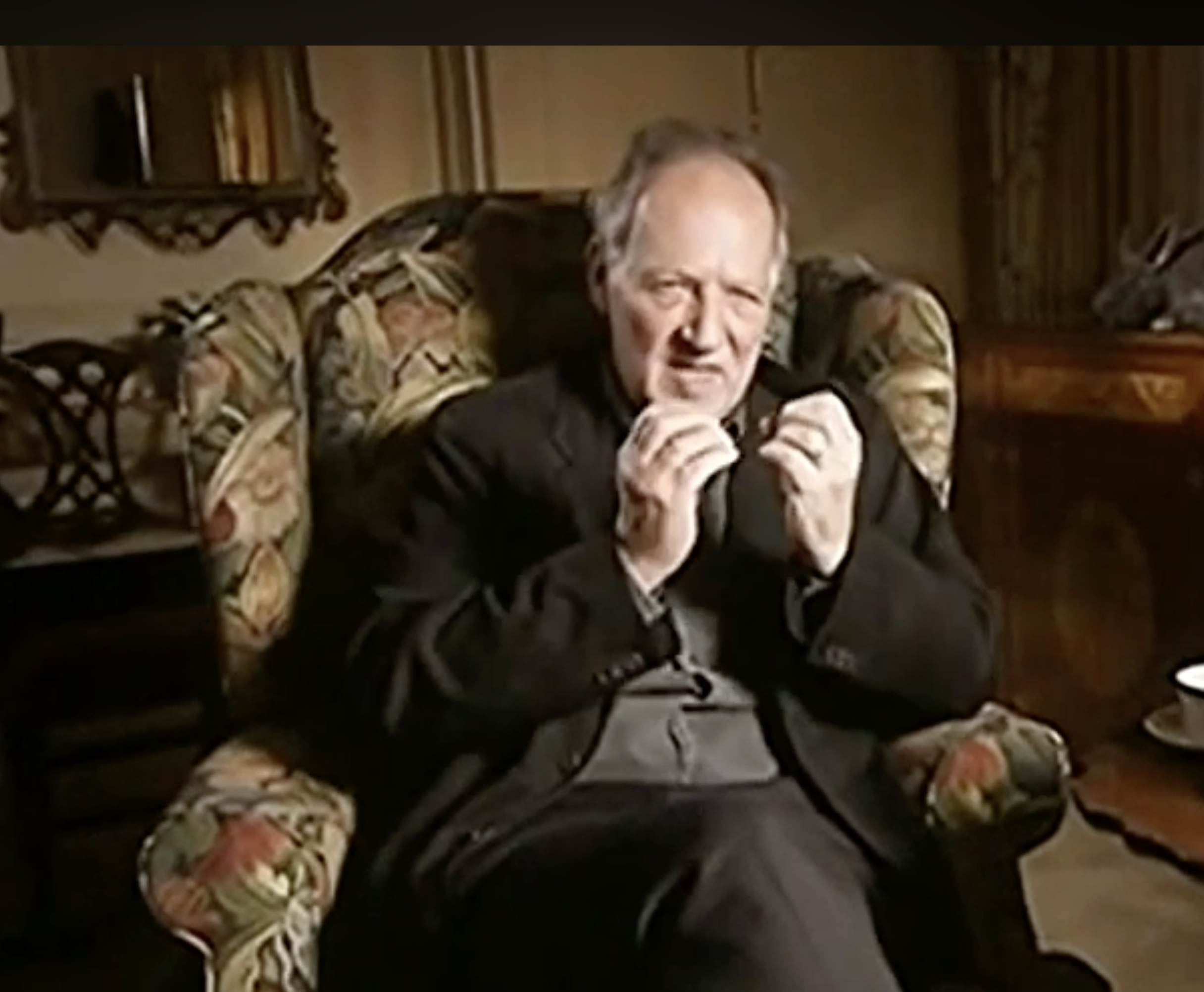 Werner Hertzog - On Stupidity of Chickens